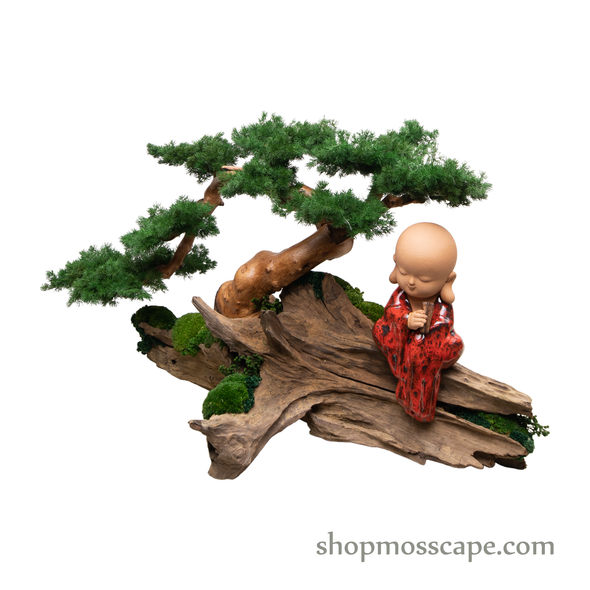 Wisdom Zen on Tree | Bonsai-scape (4-059 w/ MF)