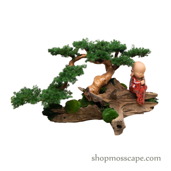 Wisdom Zen on Tree | Bonsai-scape (4-059 w/ MF)