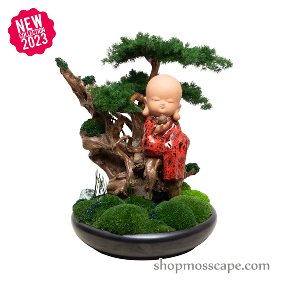 Mediating Zen on Tree | Bonsai-scape (4-063 w/ MF)