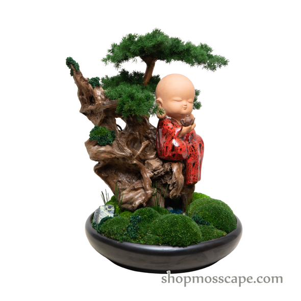 Mediating Zen on Tree | Bonsai-scape (4-063 w/ MF)