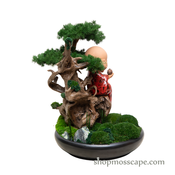 Mediating Zen on Tree | Bonsai-scape (4-063 w/ MF)