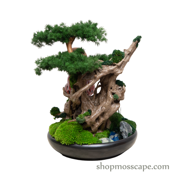 Mediating Zen on Tree | Bonsai-scape (4-063 w/ MF)