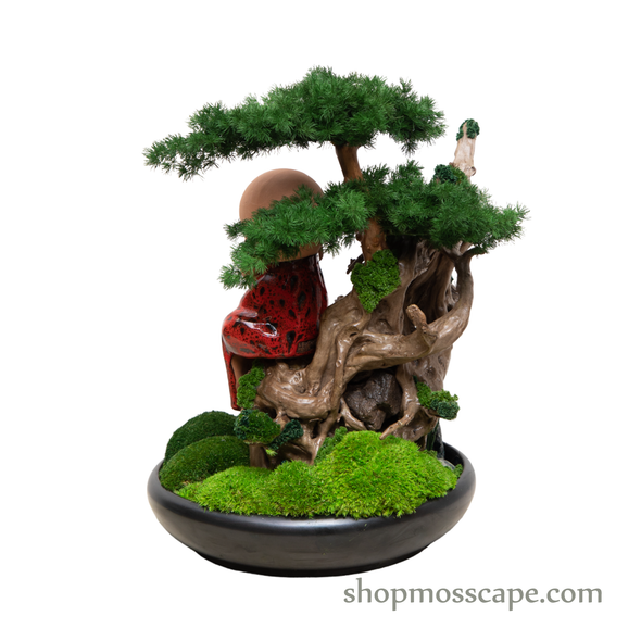 Mediating Zen on Tree | Bonsai-scape (4-063 w/ MF)