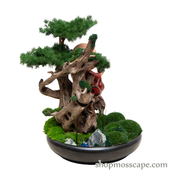 Mediating Zen on Tree | Bonsai-scape (4-063 w/ MF)