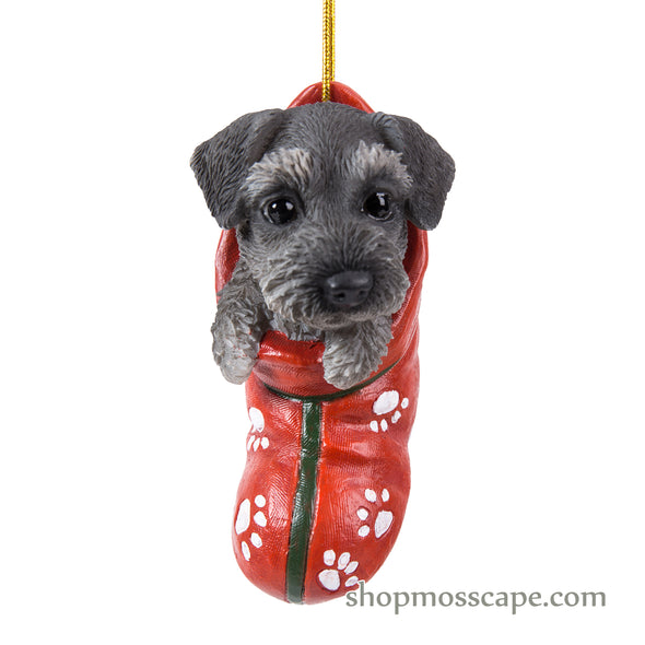 Schnauzer with Christmas stocking