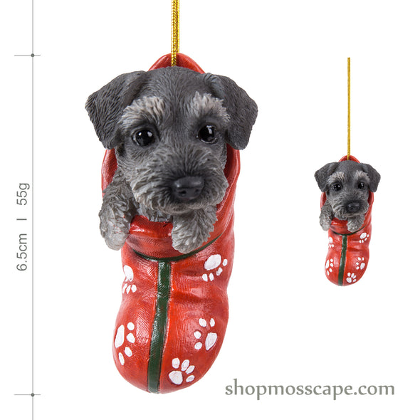 Schnauzer with Christmas stocking