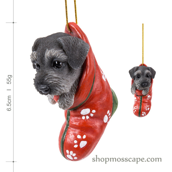 Schnauzer with Christmas stocking