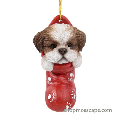 Shih Tzu in Christmas Stocking