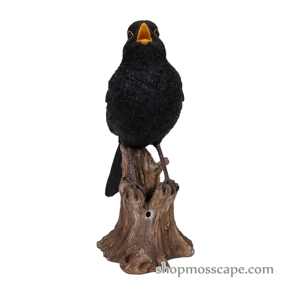 Blackbird Standing on Stump