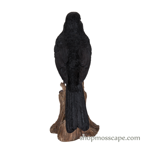 Blackbird Standing on Stump