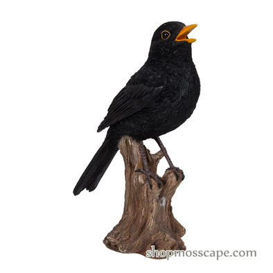 Blackbird Standing on Stump