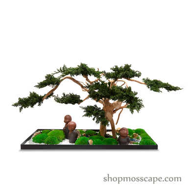 Simple Joys | Bonsai-scape (3-014)