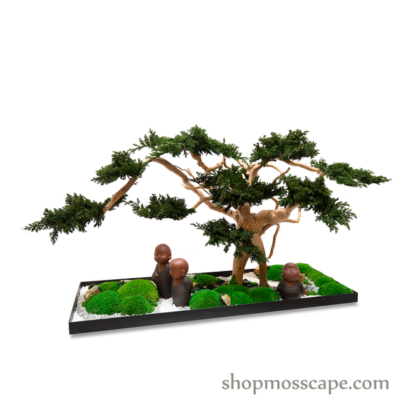 Simple Joys | Bonsai-scape (3-014)