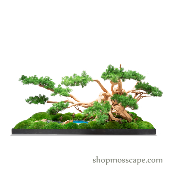 Perfect Balance | Bonsai-scape (4-006)