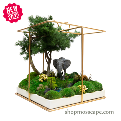 Elephant in Square Ribbon Cage (L) 2