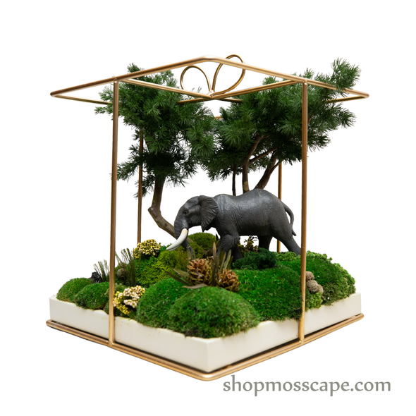 Elephant in Square Ribbon Cage (L) 2