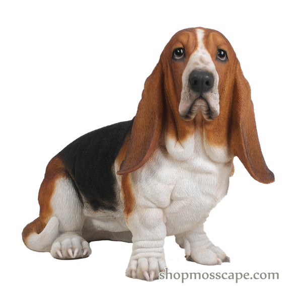 Sitting Basset Hound