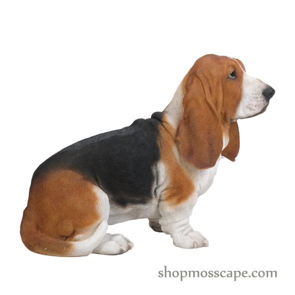 Sitting Basset Hound