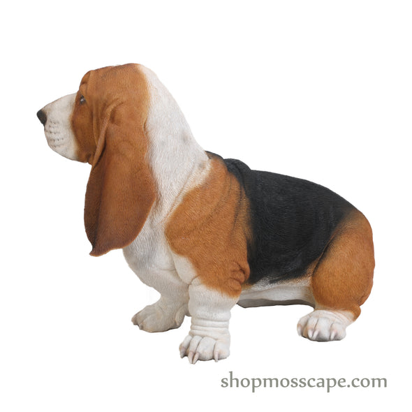 Sitting Basset Hound