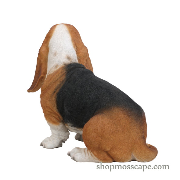 Sitting Basset Hound