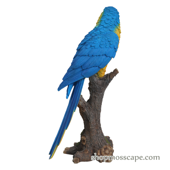 Blue & Gold Macaw on Stump