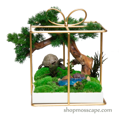 Tortoise Square Ribbon Cage (S)