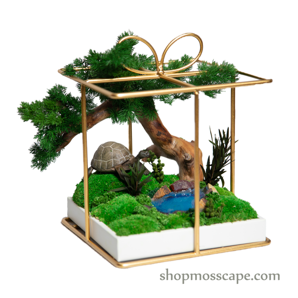Tortoise Square Ribbon Cage (S)