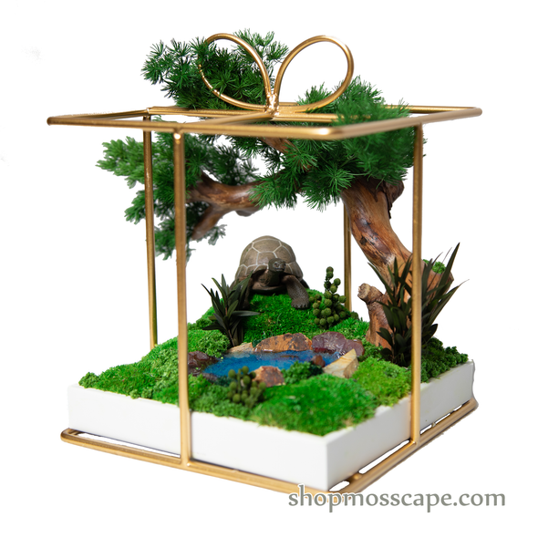 Tortoise Square Ribbon Cage (S)
