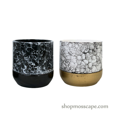 Cracked Wall Ceramic Pot (2 colours)