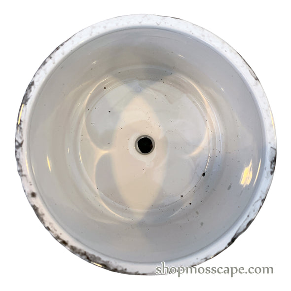 Cracked Wall Ceramic Pot (2 colours)