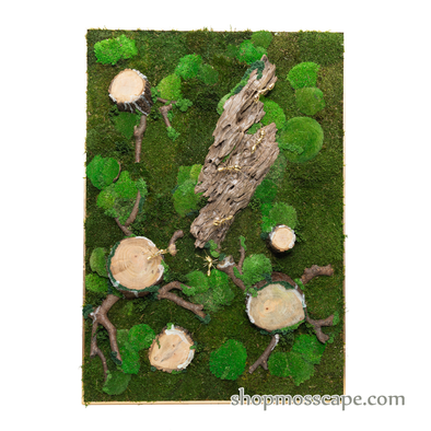 Tree of Life | Framed Moss Art (024)