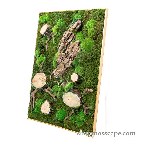 Tree of Life | Framed Moss Art (024)