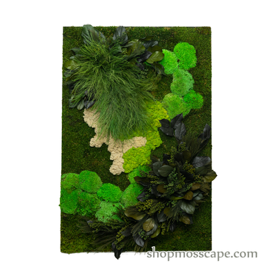Nature Land | Framed Moss Art (026)