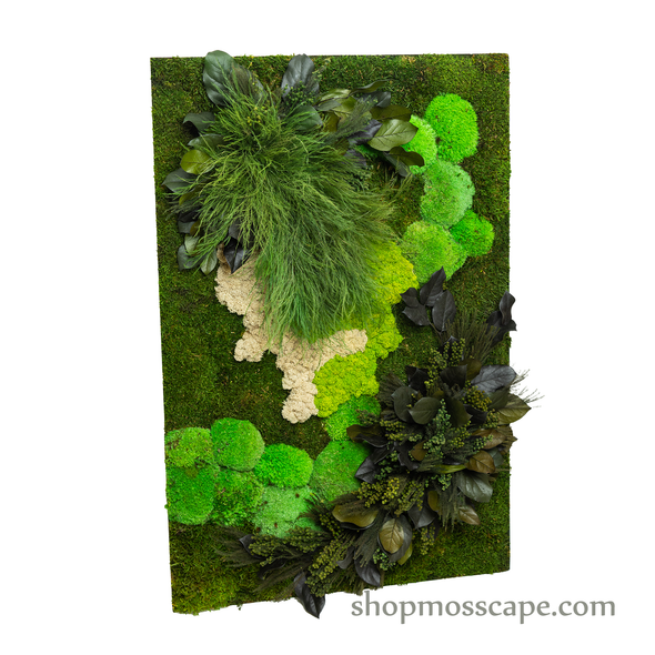 Nature Land | Framed Moss Art (026)