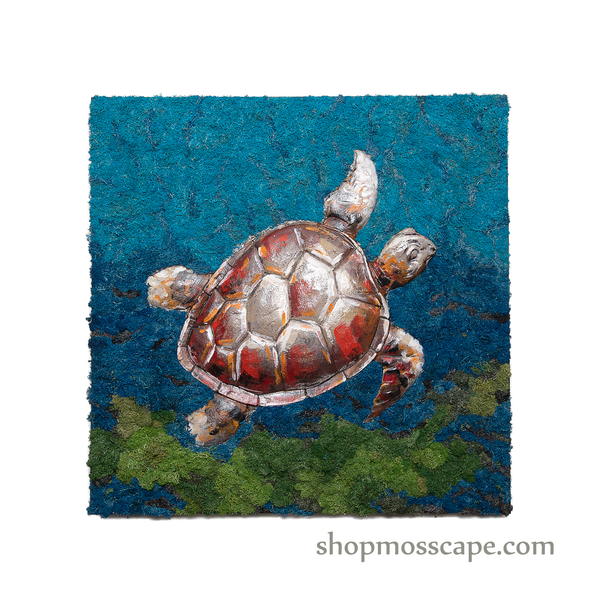 Turtle on Sea | Framed Moss Art (031)