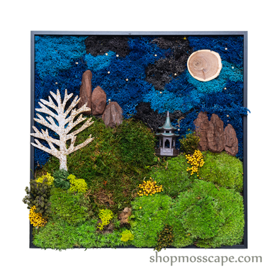 Under Moonlight | Framed Moss Art (034)