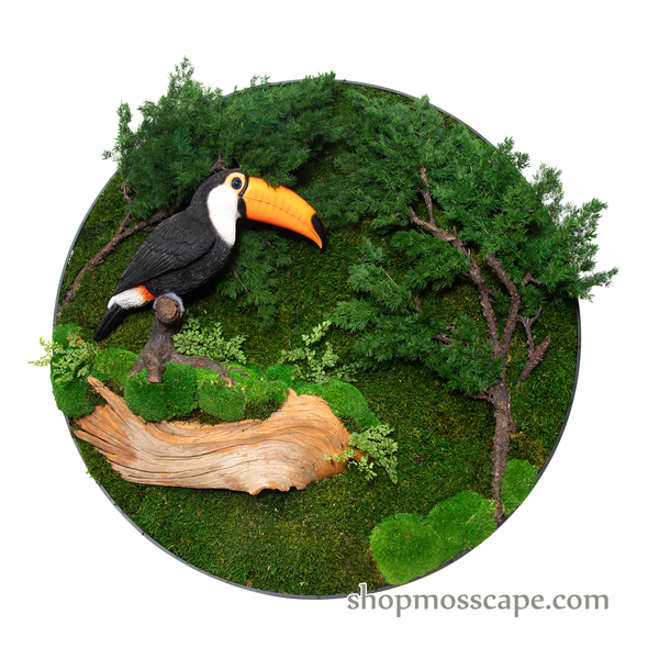 Hornbill on Stump at Forest | Framed Moss Art (045)