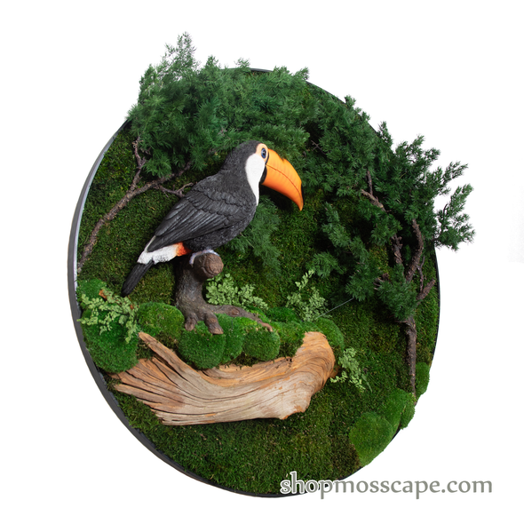 Hornbill on Stump at Forest | Framed Moss Art (045)