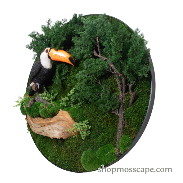 Hornbill on Stump at Forest | Framed Moss Art (045)