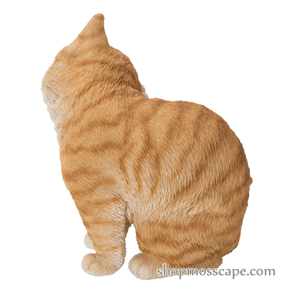Ginger Cat Scratching Ear