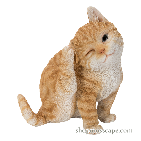 Ginger Cat Scratching Ear