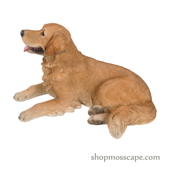 Lying Golden Retriever