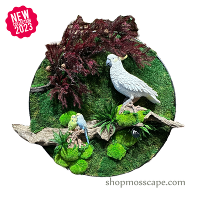 Feathered Haven | Framed Moss Art (050)