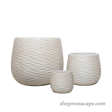 Wave Collection LC14396 (2 colours)