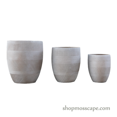 Varying Strips Collection LC14492