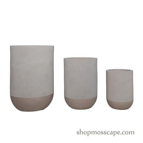 Vintage Strip Collection LC2967