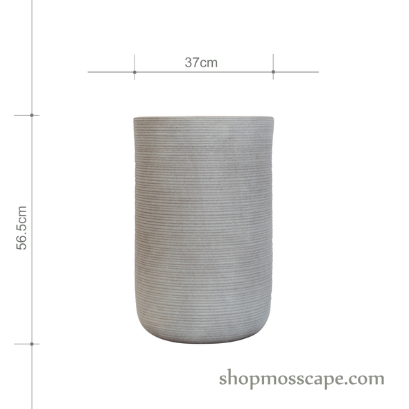 Stripe Collection LC14459
