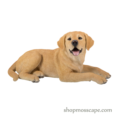 Lying Labrador