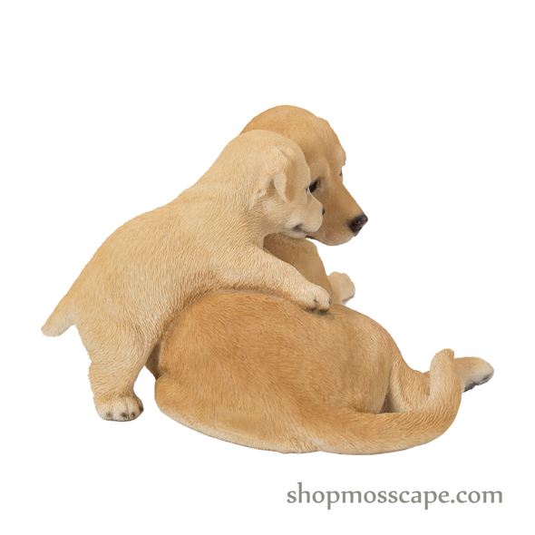 Mother & Baby Labrador