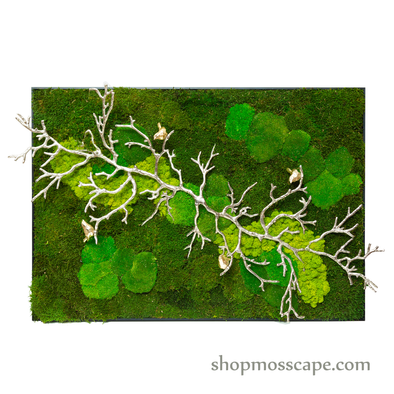 Rooted in Nature | Framed Moss Art (011)